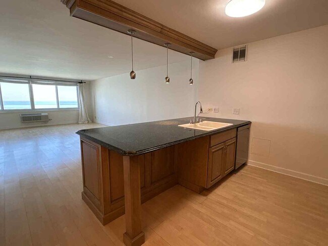 Foto del edificio - 1440 N Lake Shore Dr