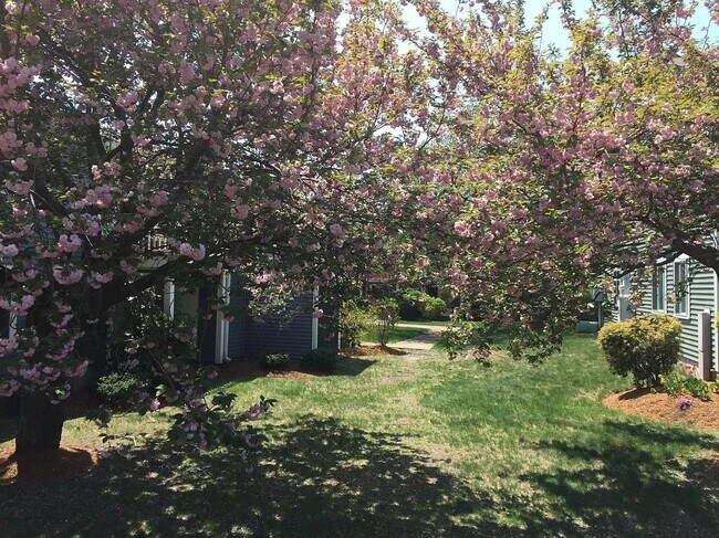 Lawn - 5 Silver Hill Ln