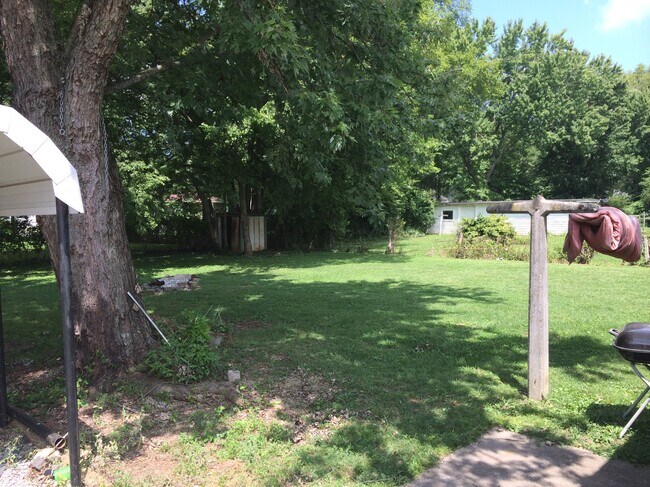 Backyard - 1011 Harrison Ave