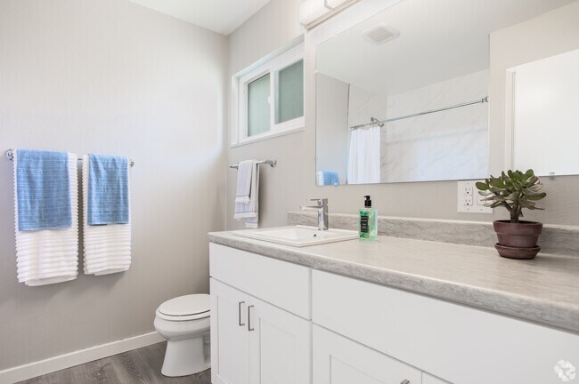 1HAB, 1BA - 560 ft² - Brio Apartments