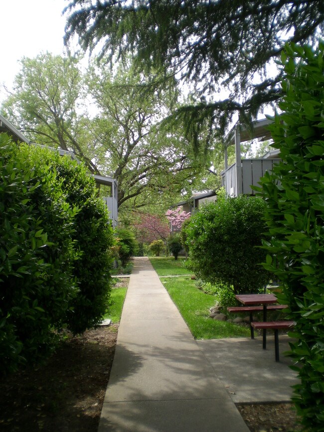 Menlo Pointe Apartments Chico Menlo Pointe Apartments Chico