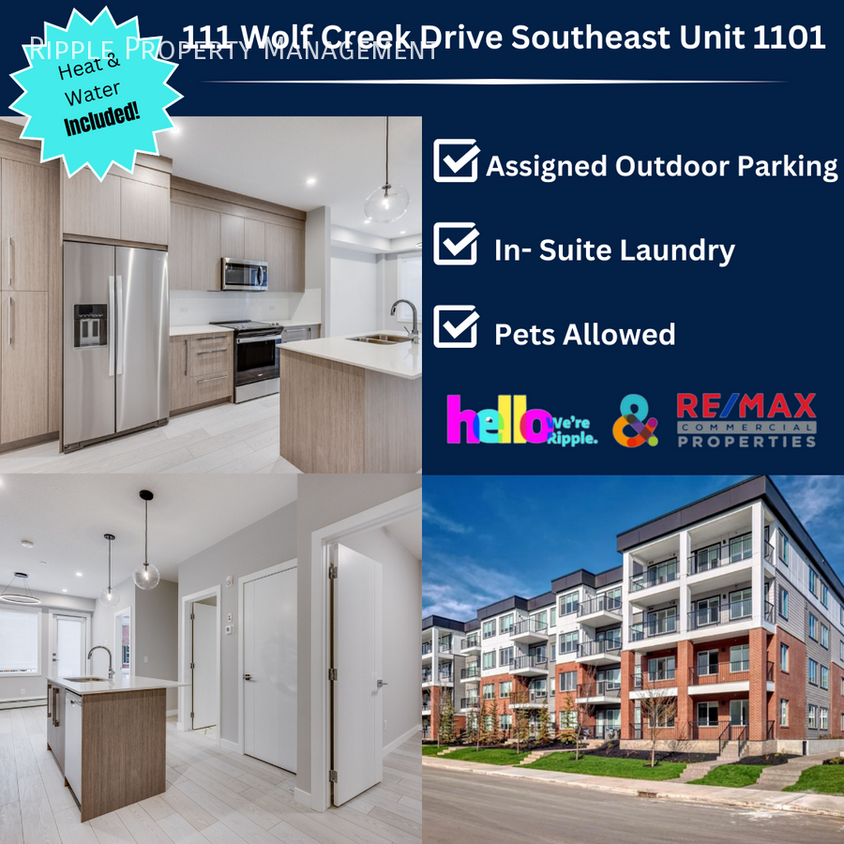 Primary Photo - AMAZING BRAND NEW 2 BEDS/ 1 BATHS CONDO