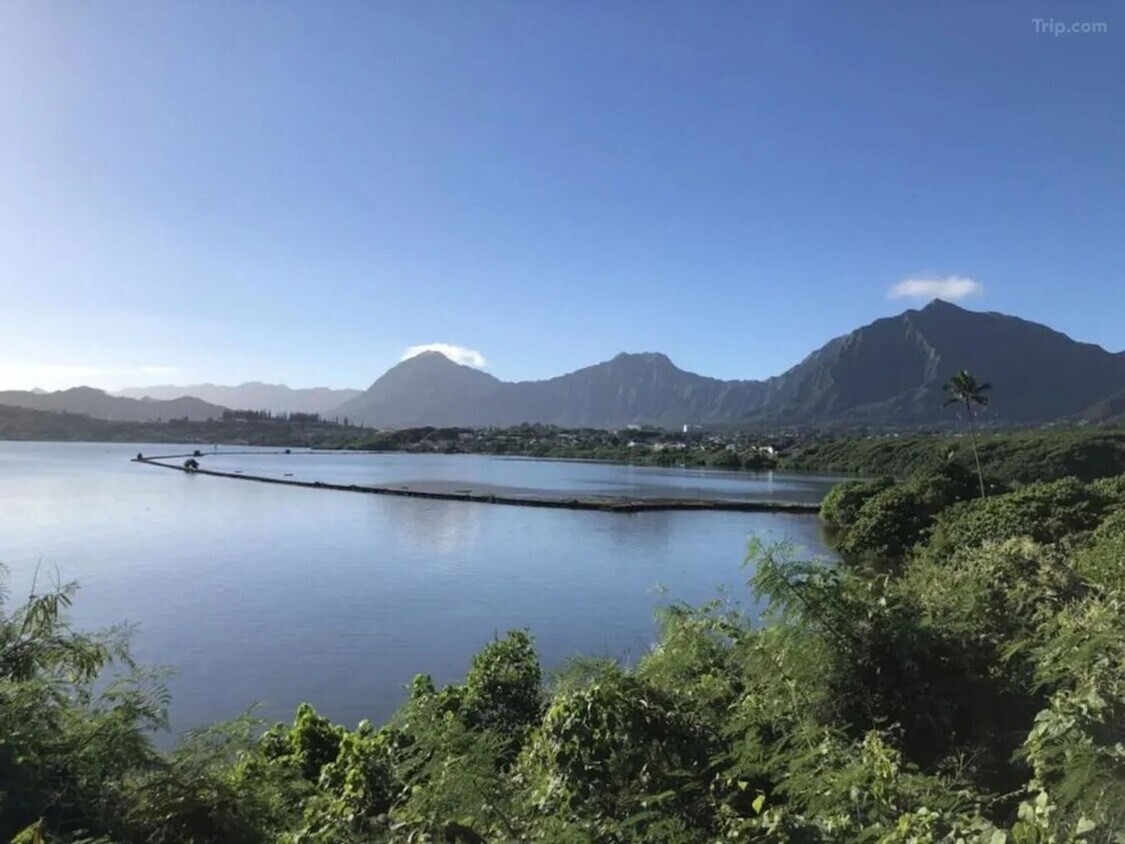Foto principal - Stunning views of Kbay, steps to water