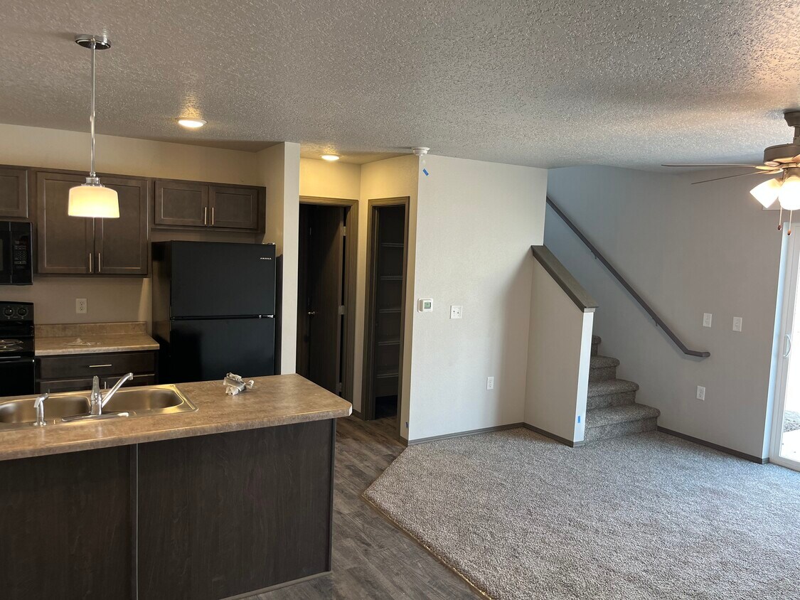 1043 Elizabeth Pl, Waukee, IA 50263 Townhome Rentals in Waukee IA