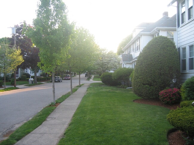 Tree-lined Street - 38 Harvard Rd