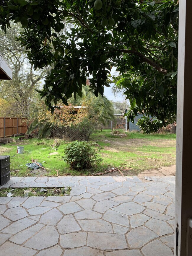 Building Photo - 4849 College Oak Dr