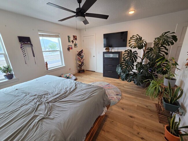 Foto del edificio - 4397 Alder Ln