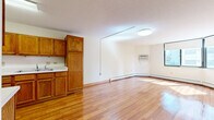 Located at 1509 Tenth Ave S in Minneapolis, Minnesota, this two-bedroom, one-bathroom residence offers a practical and well-organized single-floor layout. The open-plan kitchen and living area serves as the heart of the home, featuring warm hardwood flooring that extends throughout. The kitchen is equipped with rich oak cabinetry providing ample upper and lower storage, a double-basin sink, and a white appliance suite. The living area flows naturally from the kitchen, offering a bright, open feel with a wall-mounted air conditioning unit and baseboard heating.

The primary bedroom features hardwood floors, a corner window configuration that fills the room with natural light, and a wall-mounted air conditioning unit. The second bedroom is carpeted and includes a wide sliding-door closet for generous storage. Both bedrooms benefit from baseboard heating and access to natural light.

The bathroom is designed with accessibility in mind, featuring grab bars, a roll-in shower with a handheld showerhead, mosaic tile flooring, a vanity with an oak cabinet, and overhead storage. A dedicated closet area with wire rack shelving adds additional storage convenience. The textured ceilings and neutral wall tones throughout lend the space a clean, understated character.