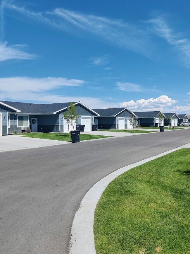 a【ビルティンビジョンエッセンシャルズ4個】 a【ビルティンビジョンエッセンシャルズ4個】 a【ビルティンビジョン