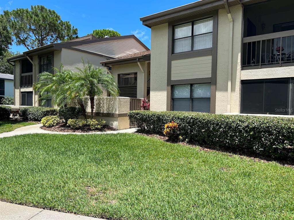 333 Woodlake Wynde, Oldsmar, FL 34677 Condo for Rent in Oldsmar, FL