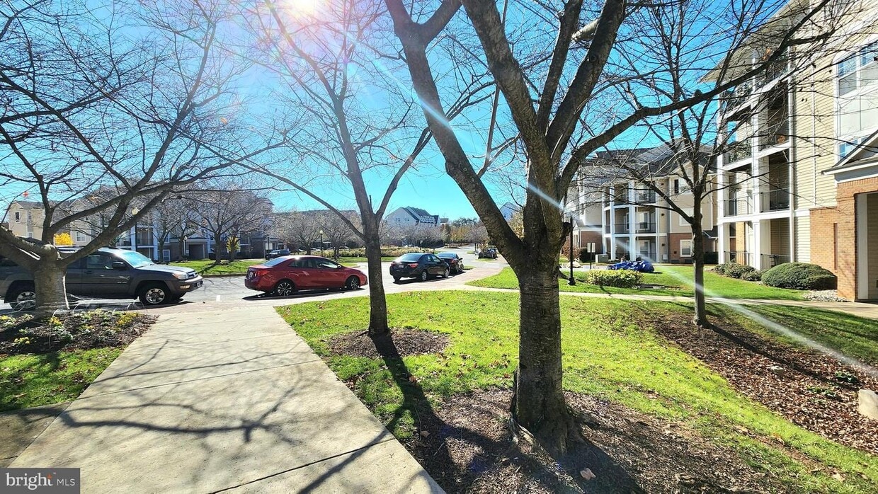 19607 Galway Bay Circle Unit 403, Germantown, MD 20874 Room for Rent