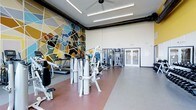 This fitness center is a well-appointed, single-floor facility designed to accommodate a wide range of workout needs. The space is defined by its notably high ceilings, which contribute to an open, airy atmosphere and are fitted with industrial-style exposed ductwork and linear LED lighting fixtures that ensure even, bright illumination throughout.

A striking geometric mural in a palette of yellows, blues, greens, and earth tones dominates one wall, serving as a bold visual anchor and adding an energetic, artistic character to the environment. The flooring features a two-tone design, with a neutral grey field accented by a warm terracotta-toned central zone, helping to visually delineate workout areas.

The facility is equipped with a comprehensive selection of cardio machines, including treadmills and stationary bikes, alongside a robust array of cable and resistance machines for strength training. Large windows along one wall allow generous natural light to enter the space, enhancing the overall brightness. A set of glass double doors provides access to an outdoor area, further connecting the interior to the surrounding environment. Ceiling fans complement the ventilation system, supporting a comfortable workout climate.