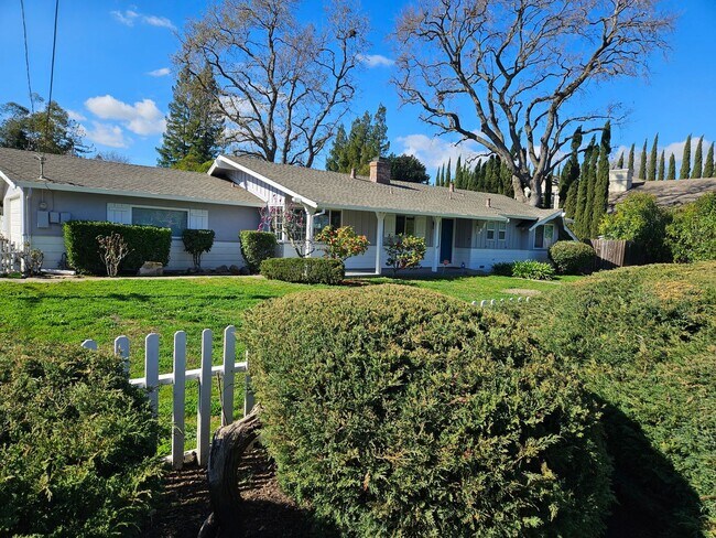Foto del edificio - Charming Walnut Creek Ranch-Style Home