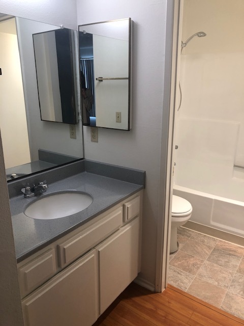 Master Bath - 611 E Angeleno Ave