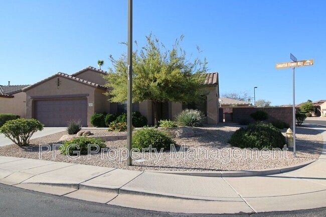 Foto del edificio - 19176 N Tamarisk Flower Way