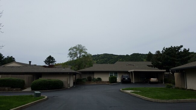 Building Photo - 236 Roundtree Way