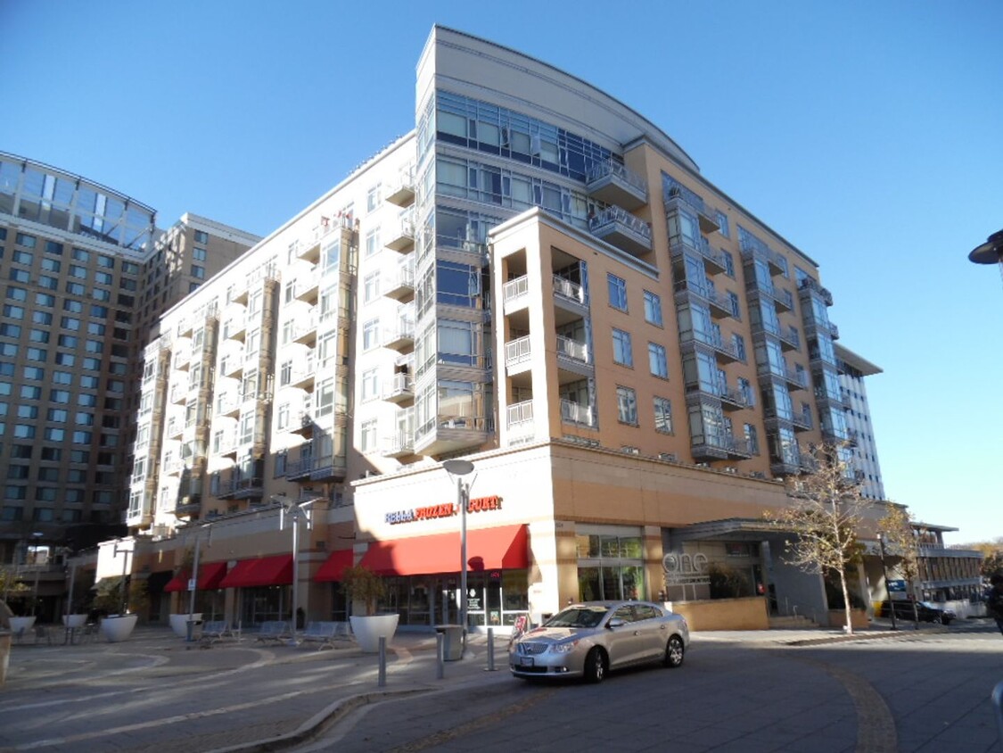 Primary Photo - 1 Bedroom Luxury Condo located in Hyattsvi...