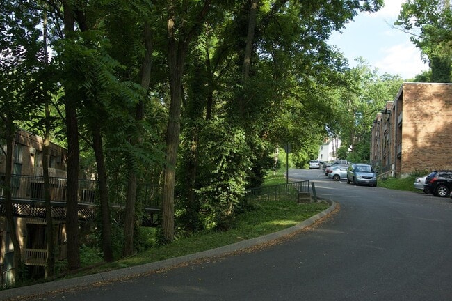 Interior Photo - Clifton Woods