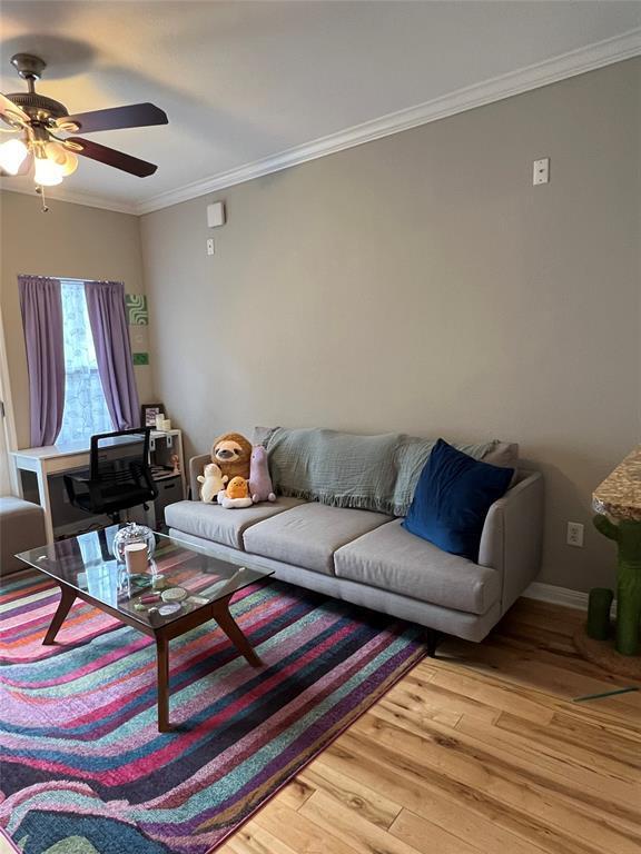 Building Photo - 2502 Leon St