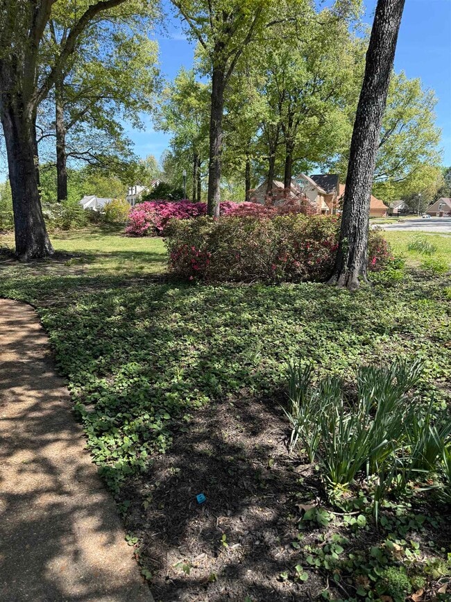 Building Photo - 2805 Morning Woods Dr