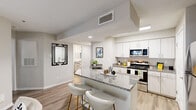 Located at Century Place in Alexandria, VA, this 1-bedroom, 2-bathroom residence offers a well-appointed single-level layout designed for comfortable everyday living. The open-concept kitchen and living area serves as the heart of the home, where a peninsula with granite countertops and bar seating flows seamlessly into the living space. The kitchen is outfitted with stainless steel appliances, light wood cabinetry, and wood-style flooring that extends throughout the main areas. The living room is highlighted by a tile-surround fireplace, a sliding glass door that invites natural light and outdoor access, and a view of the surrounding greenery. The bedroom is a standout space, featuring a bold accent wall, plush carpeting, a large window with outdoor views, and direct access to a spacious walk-in closet. Two full bathrooms serve the unit — one featuring a granite vanity, wood-style flooring, and a soaking tub, while the second is accessible directly from the walk-in closet, adding a convenient en-suite quality to the bedroom suite. Neutral tones, recessed lighting, and clean finishes throughout give the space a modern, cohesive aesthetic.