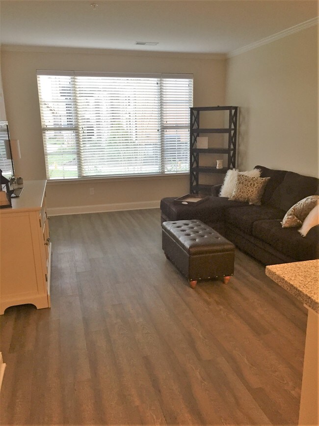 DREAM Paducah Apartments in Paducah, KY