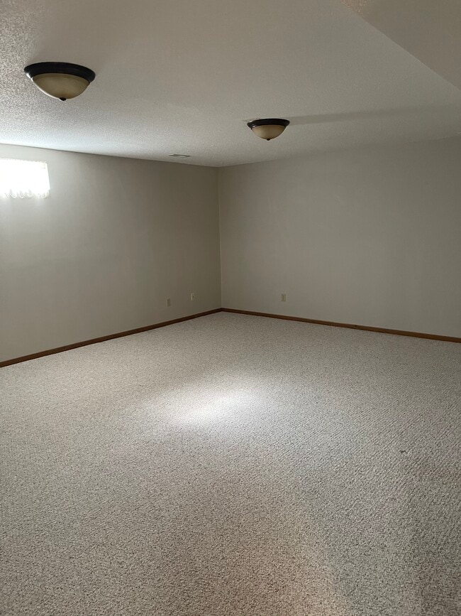 Basement Open Area - 736 Vilas St