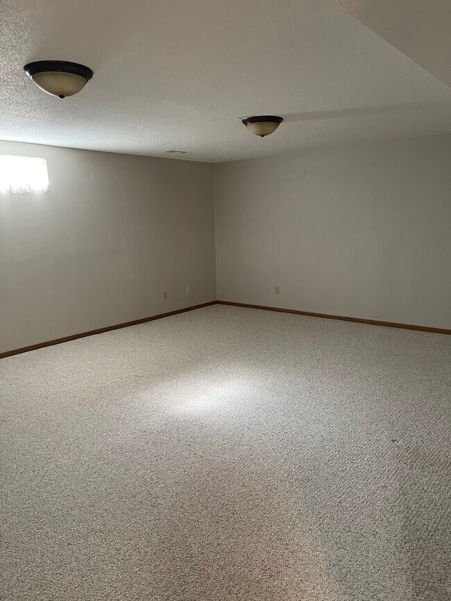 Área abierta del sótano - 736 Vilas St