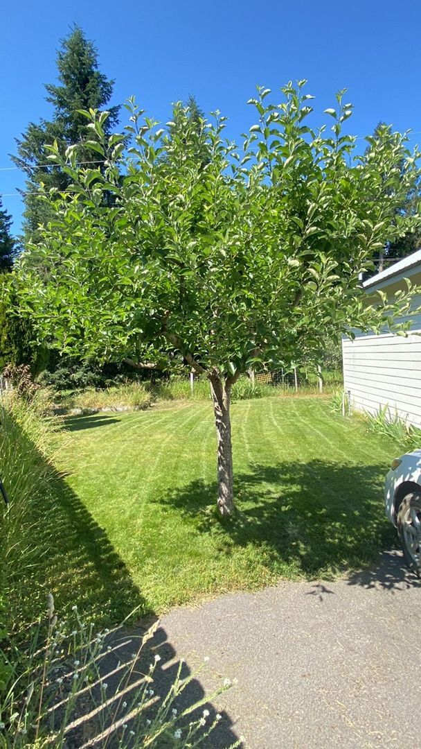 Foto del edificio - Lakeview Property in Hauser; Utilities Included