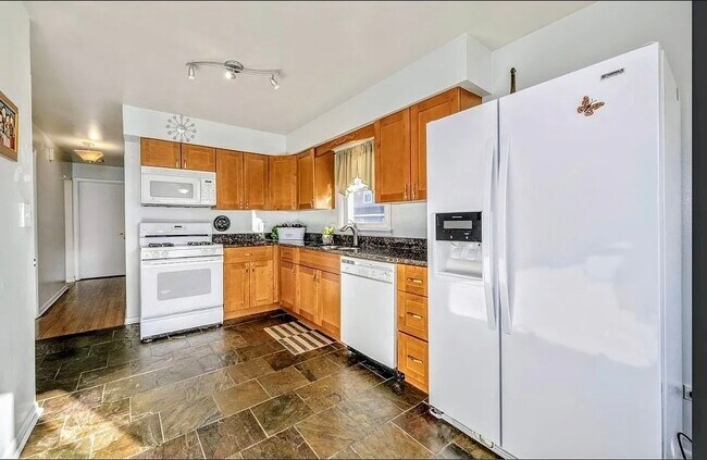 Kitchen - 311 Maple Ave