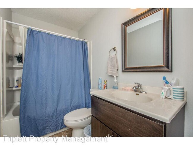 Building Photo - 3 br, 1 bath House - 211 Palomino Parkway