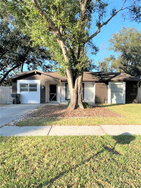 503 Falkirk Ave, Valrico, FL 33594 House Rental in Valrico, FL
