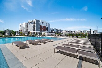 Heated Pool and Sun Deck - The Atwater