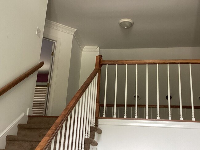 Foto del edificio - 5 Bedroom Home - Colonial Heights - Conven...