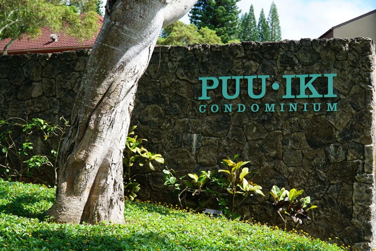 Primary Photo - Puu Iki