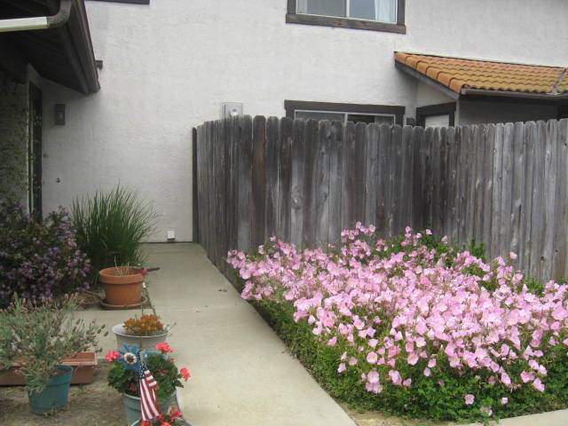 Primary Photo - s72400