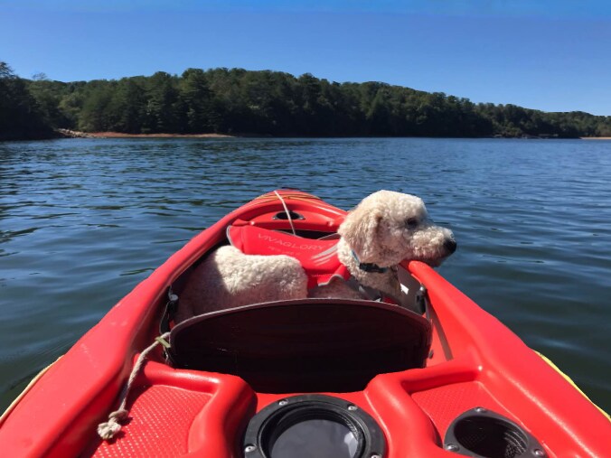 Foto del edificio - 124 Lake Shore Dr