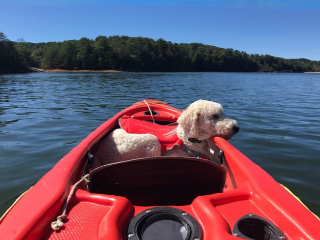 Photo - 124 Lake Shore Dr House