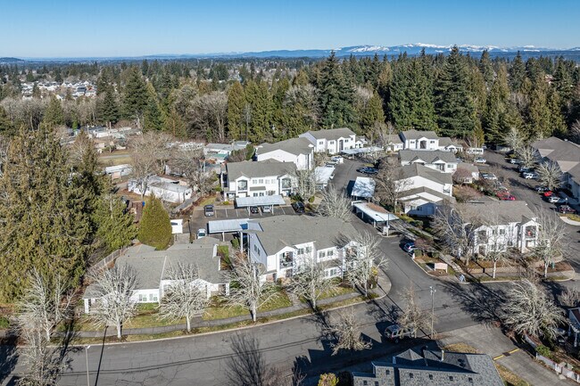 Contexto comunitario - Cascadia Village