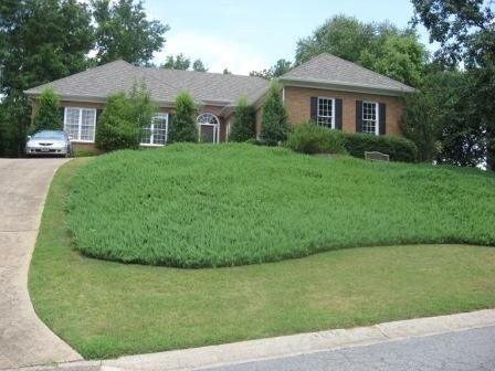 Foto del edificio - 3607 Hampstead Ln NE
