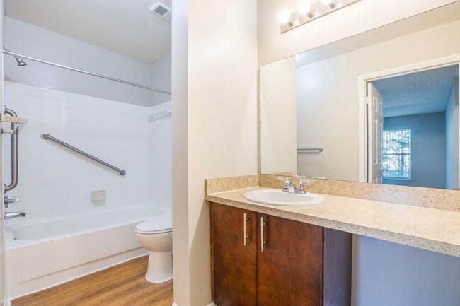 Interior Photo - Coral Falls