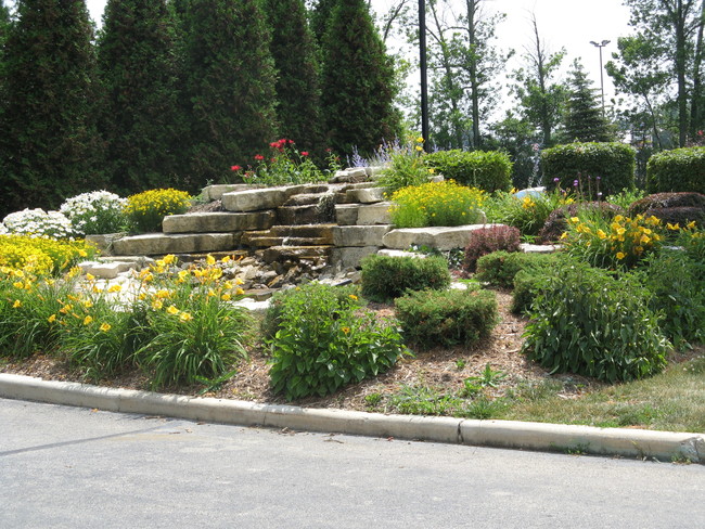 Building Photo - The Parkview Senior Apartments- 55+ Community