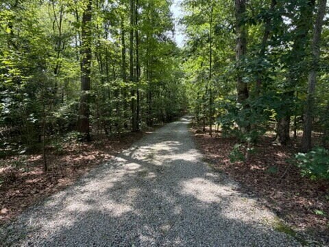 Building Photo - 4 Bedroom Home on 3.65 Acres in Moseley – Available August 15th – $3,500/mo