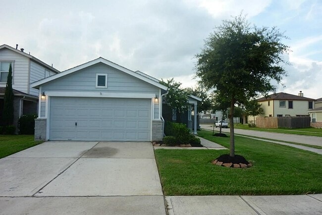 Very cute and clean home on corner. Designer colors, large kitchen, 3 bedrooms and a study. This ... - Very cute and clean home on corner. Designer colors, large kitchen, 3 bedrooms and a study. This ...