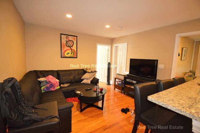 Building Photo - 72 Egmont St