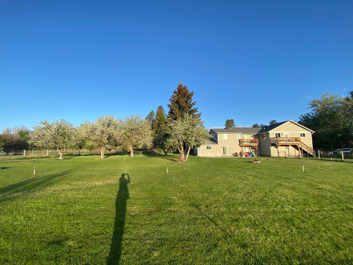 288 Doran Ln, Hamilton, MT 59840 House Rental in Hamilton, MT