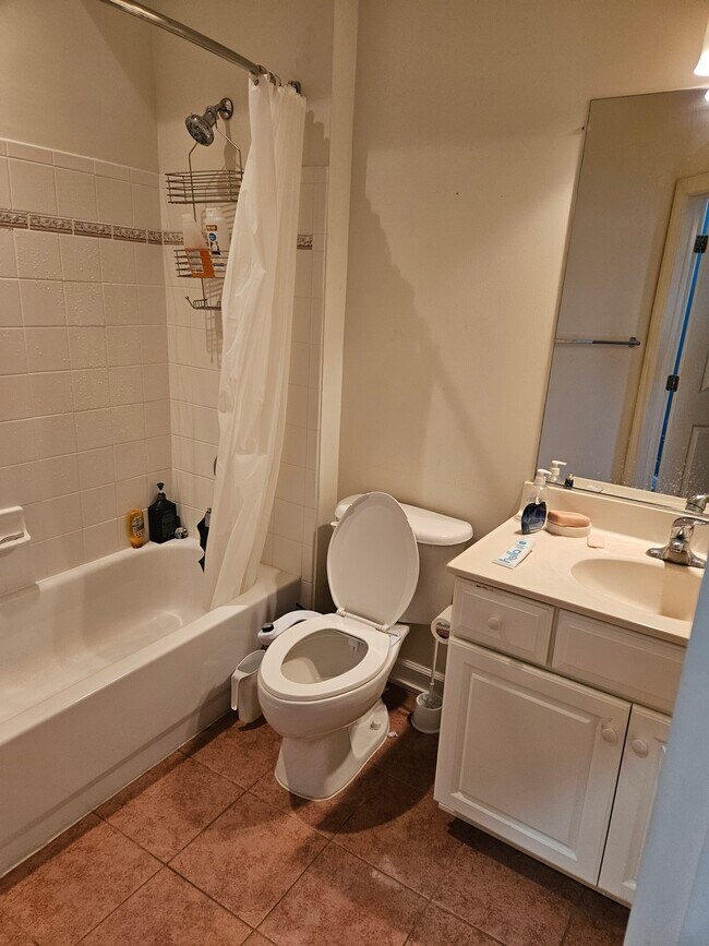 Baño - 810 Belmont Bay Dr