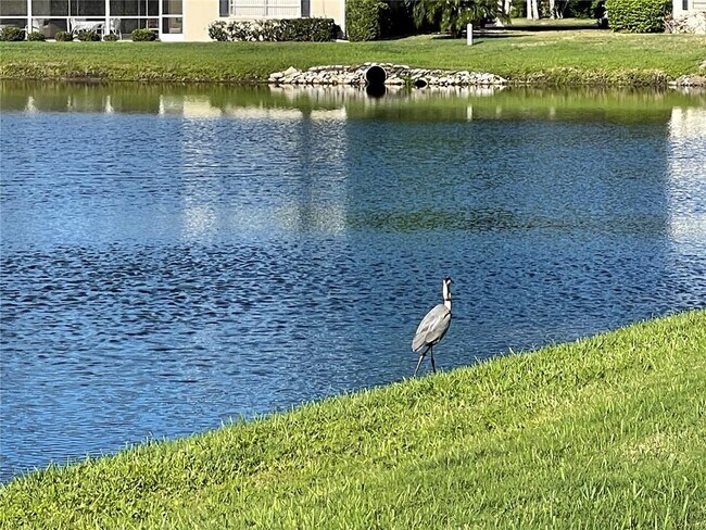 Foto del edificio - 6973 W Country Club Dr N