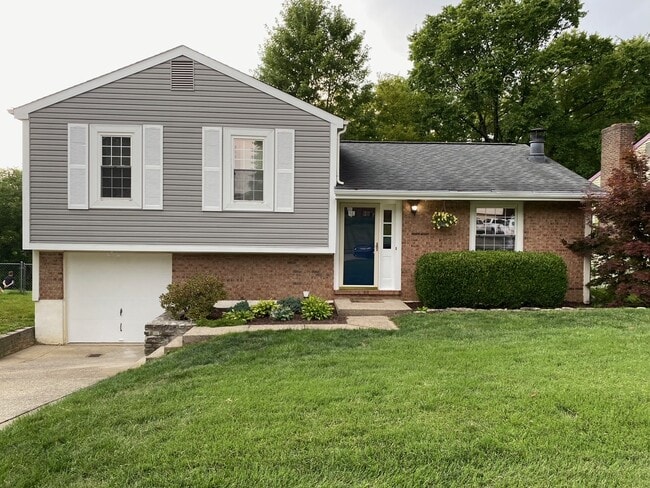 Building Photo - 3213 Trailwood Ct
