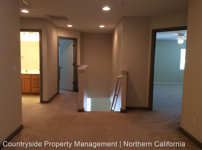 Foto del edificio - 4 br, 3 bath House - 3004 Calla Lily Lane